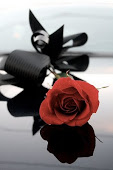 red rose black ribbon